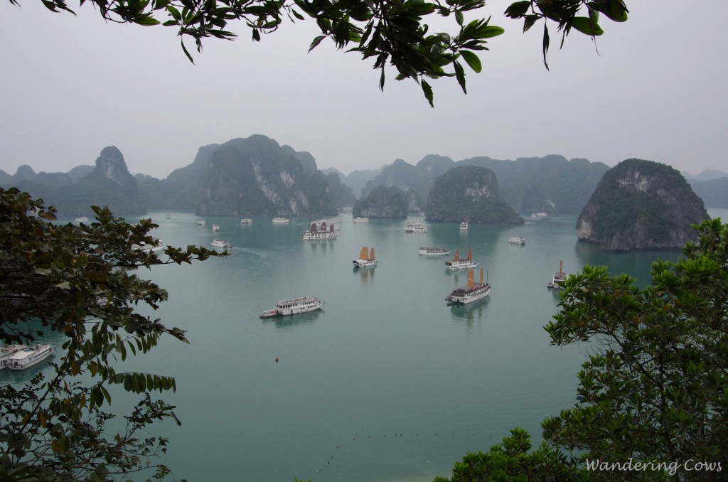 Tourist boats at Ha Long Bay