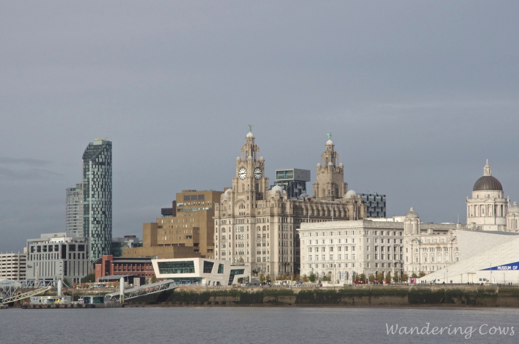 Royal Liver Building on the Liverpool skyline