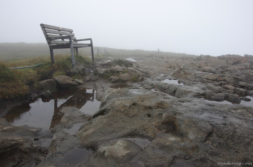 Viewpoint bench in the mist